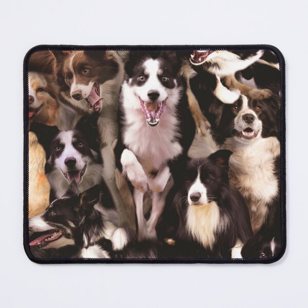 Item preview, Border Collies designed and sold by MaxencePierrard.