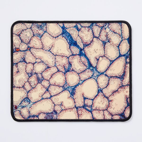 Item preview, Lacrimal glands designed and sold by DarkiraVClemm.