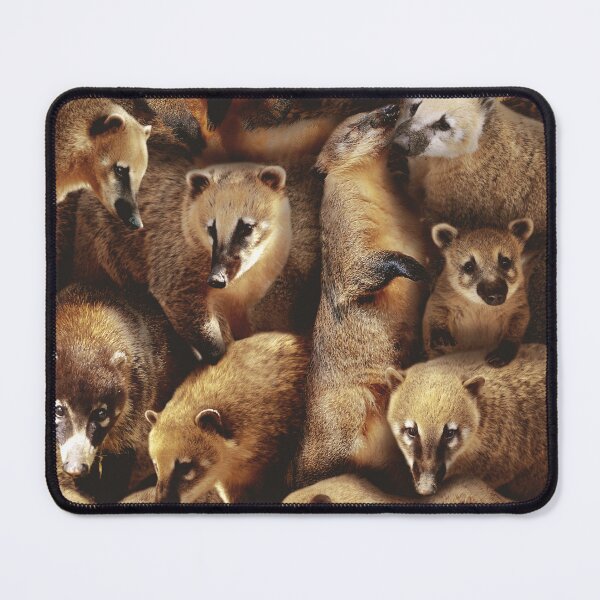Item preview, Coatis designed and sold by MaxencePierrard.
