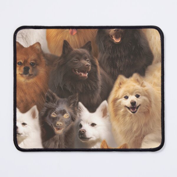 Item preview, Spitz designed and sold by MaxencePierrard.
