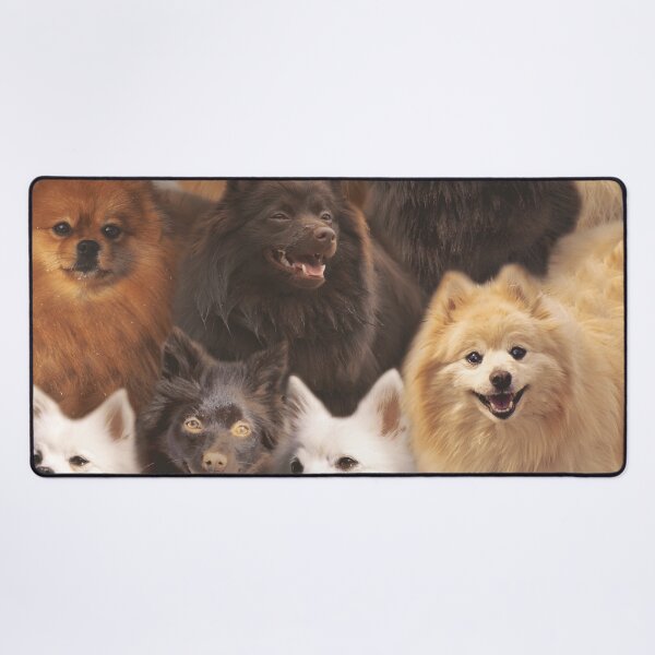 Item preview, Spitz designed and sold by MaxencePierrard.