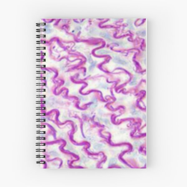 Item preview, Conjunctive tissue designed and sold by DarkiraVClemm.