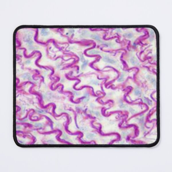 Item preview, Conjunctive tissue designed and sold by DarkiraVClemm.