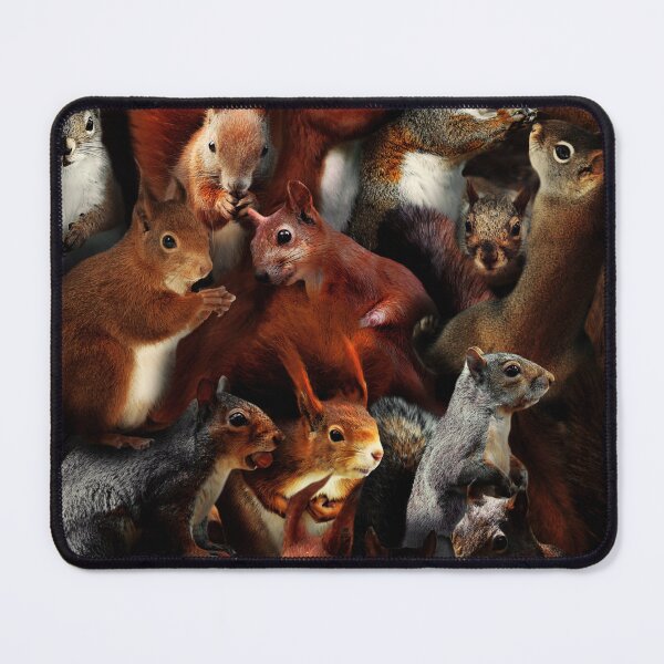 Item preview, Squirrels designed and sold by MaxencePierrard.
