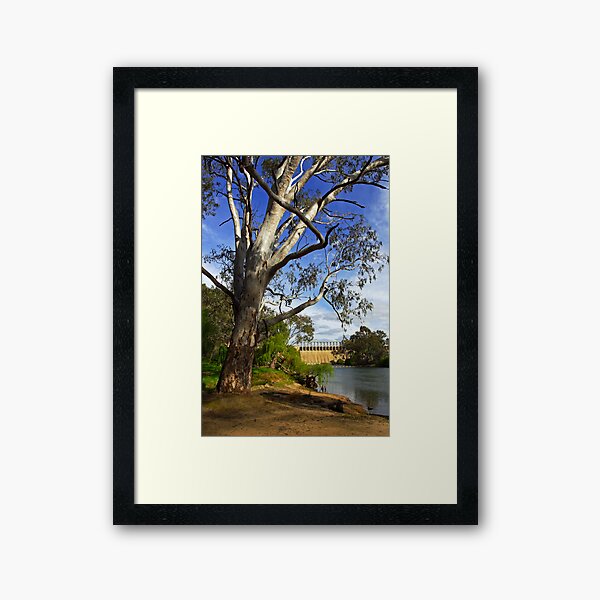 Murray River at Lake Hume Framed Art Print