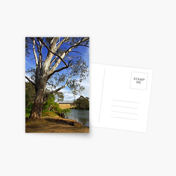 Murray River at Lake Hume Postcard