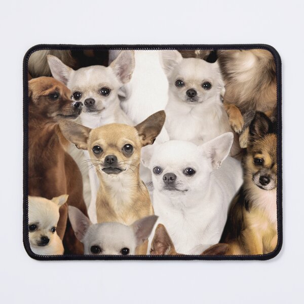 Item preview, Chihuahuas designed and sold by MaxencePierrard.