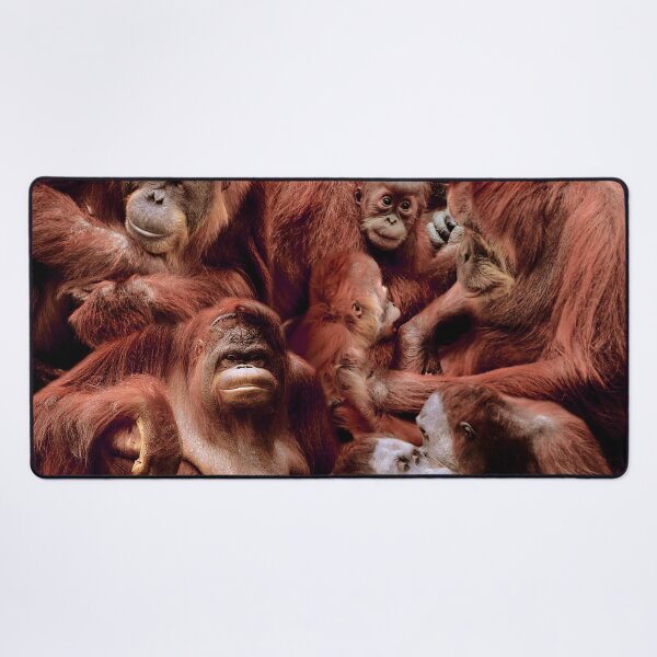 Item preview, Orangutans designed and sold by MaxencePierrard.