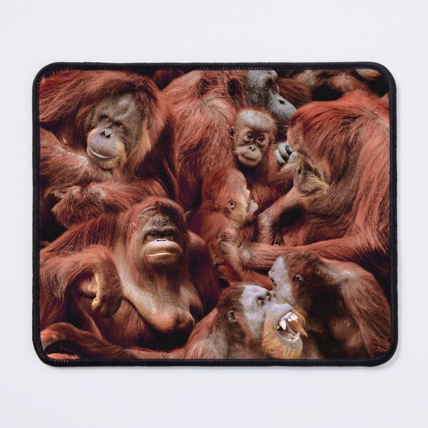 Item preview, Orangutans designed and sold by MaxencePierrard.