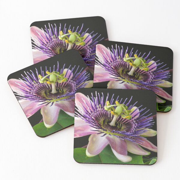 Item preview, Passiflora designed and sold by Zina Stromberg.