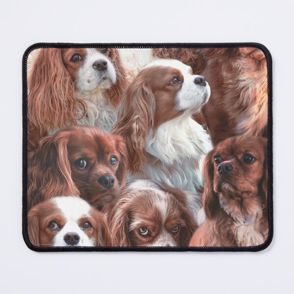 Aperçu de l'œuvre Cavalier King Charles créée et vendue par MaxencePierrard.