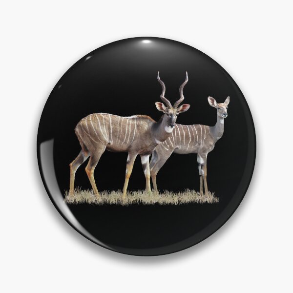 Item preview, Kudu pair - antelope in Kenya / Africa designed and sold by TShirtsundMehr.