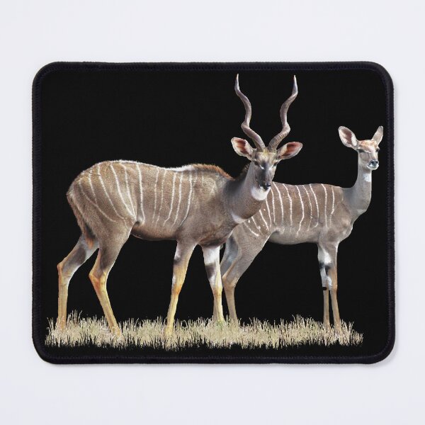 Item preview, Kudu pair - antelope in Kenya / Africa designed and sold by TShirtsundMehr.