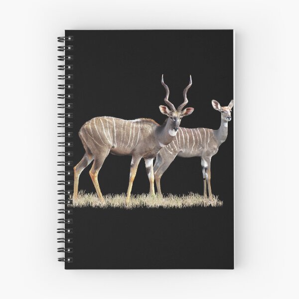 Item preview, Kudu pair - antelope in Kenya / Africa designed and sold by TShirtsundMehr.