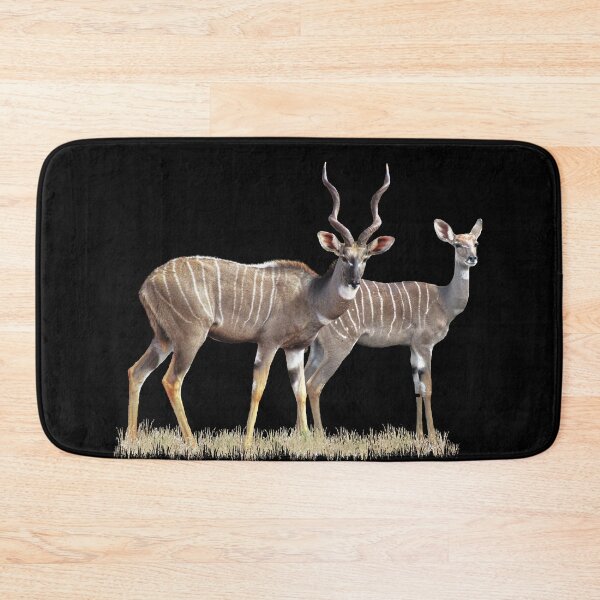 Item preview, Kudu pair - antelope in Kenya / Africa designed and sold by TShirtsundMehr.