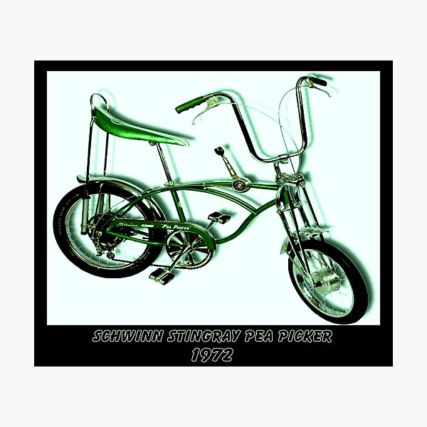 SCHWINN STINGRAY PEA PICKER: Vintage Cycle Print