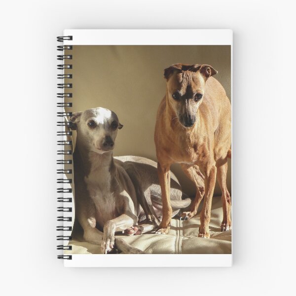 Item preview, Mr D. and Rosa designed and sold by Christina Backus.