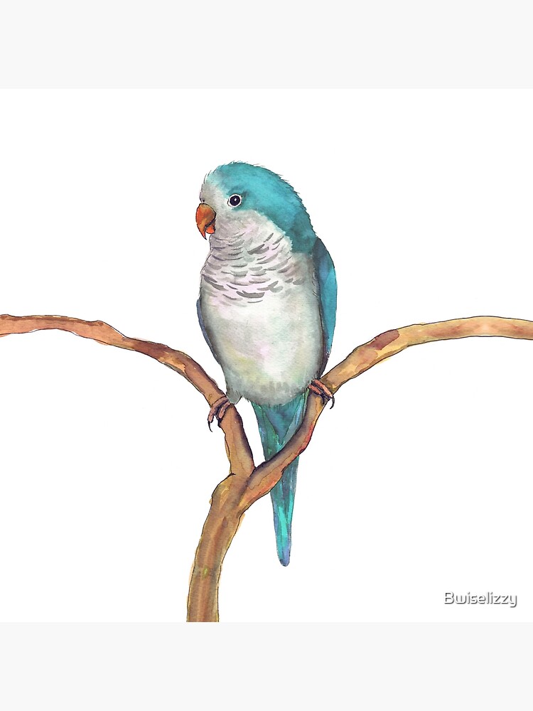 Thumbnail 4 of 4, Pillow, A watercolor of a blue quaker parrot designed and sold by Bwiselizzy.
