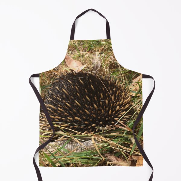 Item preview, Hidden Treasures: Echidna Digging in the Grass designed and sold by Paul Yeatman.