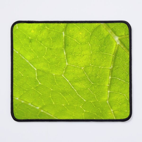 Item preview, Spring Green designed and sold by hajarsdeco.