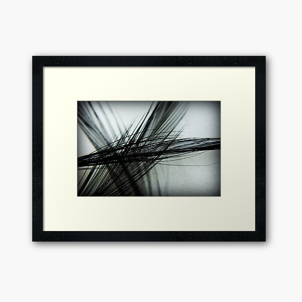 Softly, Softly Framed Art Print