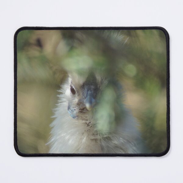 Item preview, Silkie hen Lioba designed and sold by Lalingla.