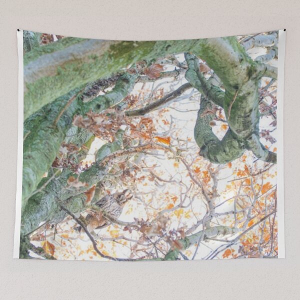 Item preview, solitary owl designed and sold by ritusdesigns.