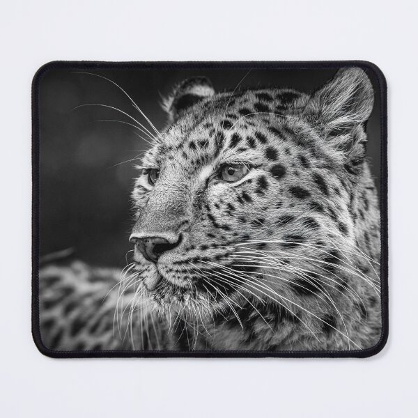 Item preview, Amur leopard designed and sold by Olek-Impek.