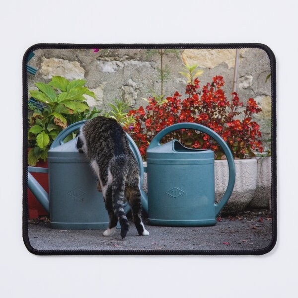 Item preview, Photographie Le chat et l'arrosoir designed and sold by LaPetiteBelette.