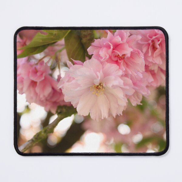 Item preview, Photographie de délicates fleurs de cerisier designed and sold by LaPetiteBelette.
