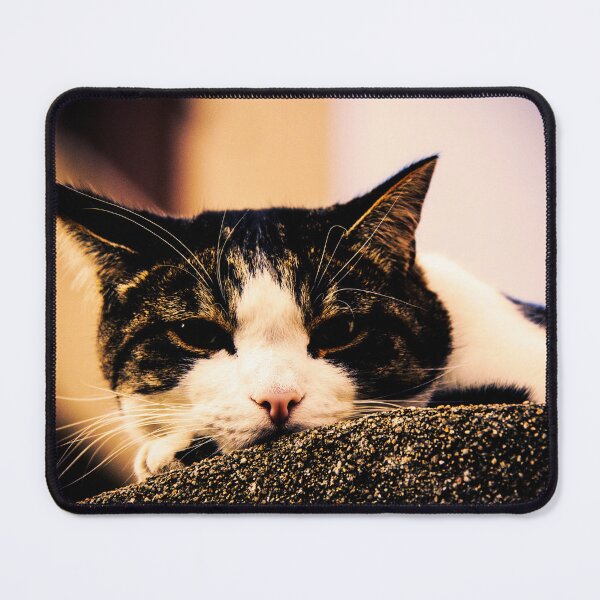 Item preview, Photographie Dans un regard de chat designed and sold by LaPetiteBelette.