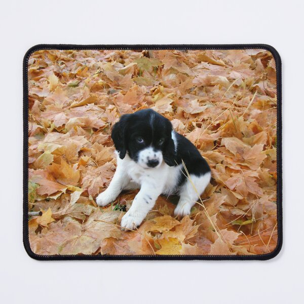 Item preview, Puppy in Autumn designed and sold by aura2000.