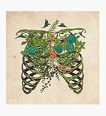 Daydreamer Photographic Print