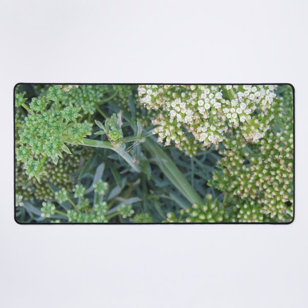 Item preview, Flowering succulent wild plants sea fennel designed and sold by Anna Lemos.
