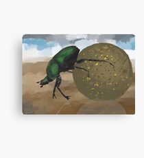 Beetle Canvas Print