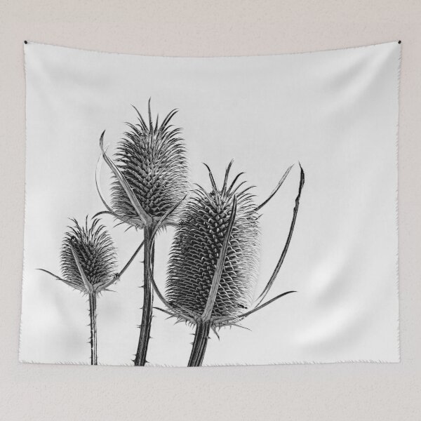 Item preview, Teasel trio designed and sold by Art in Nature.