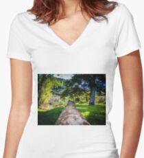 Along The Park Post Women's Fitted V-Neck T-Shirt