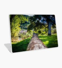 Along The Park Post Laptop Skin