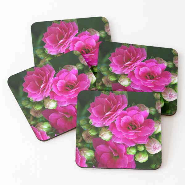Item preview, kalanchoe designed and sold by days-photographic.
