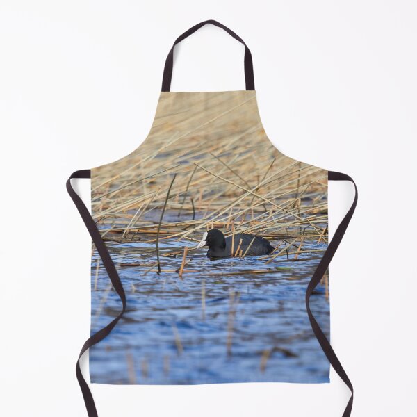 Item preview, The colors of the day. Eurasian coot designed and sold by Jouko Lehto Photography.