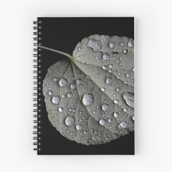 Aperçu de l'œuvre Gouttes de pluie sur une feuille créée et vendue par VanOostrum.