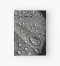 Rain Drops on a Leaf Hardcover Journal