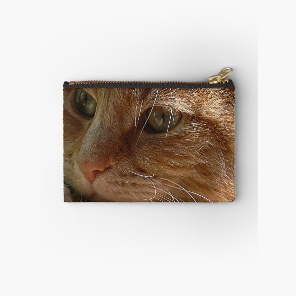 Item preview, Cat Close Up Portrait designed and sold by Wolf Sverak Photography.