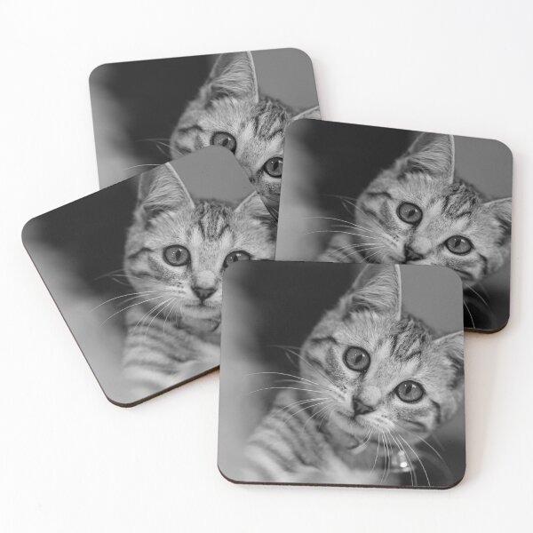 Item preview, Beautiful Cat with big eyes designed and sold by ea-photos.