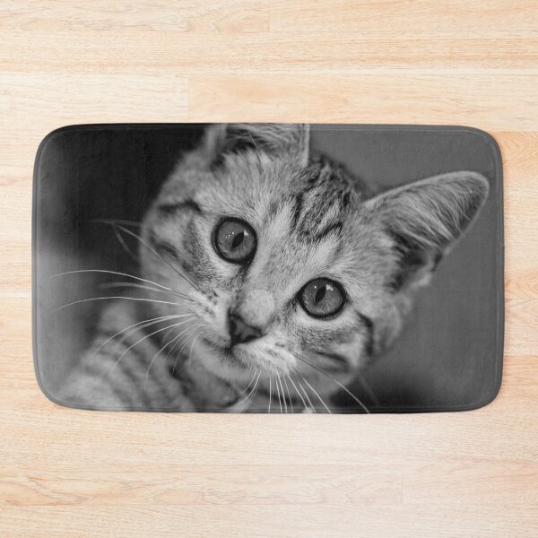 Item preview, Beautiful Cat with big eyes designed and sold by ea-photos.