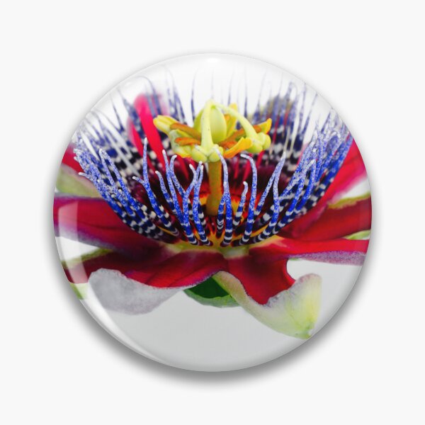 Item preview, Exotic passion flower designed and sold by Jürgen Henkelmann.