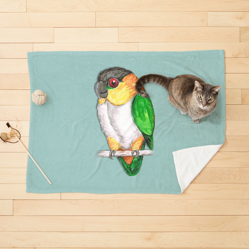 Black headed caique Pet Blanket