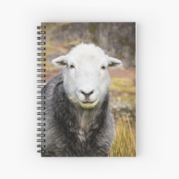 Artikel-Vorschau von Herdwick-Schaf-Portrait, designt und verkauft von JStanley19.