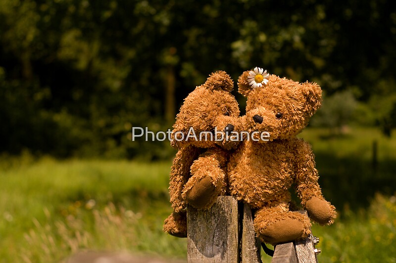 "Bear couple in love" by PhotoAmbiance | Redbubble