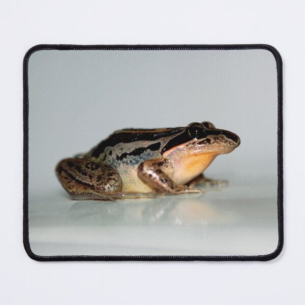Item preview, Litoria nasuta designed and sold by andrachne.